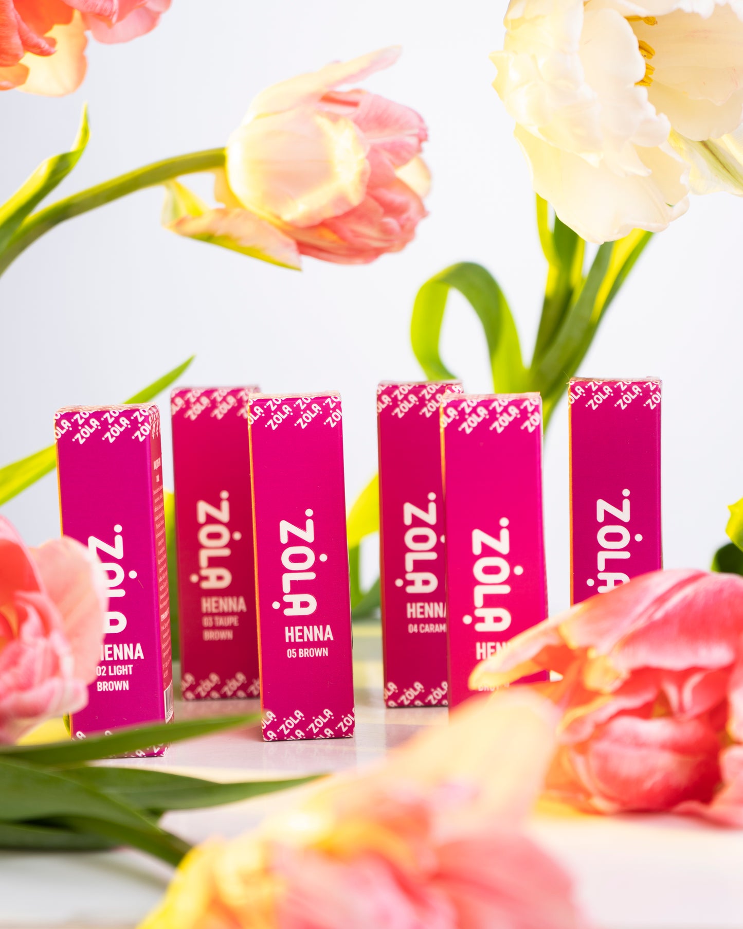 ZOLA ХНА ПРОФЕСІЙНА ДЛЯ БРІВ 10 Г (05 BROWN)