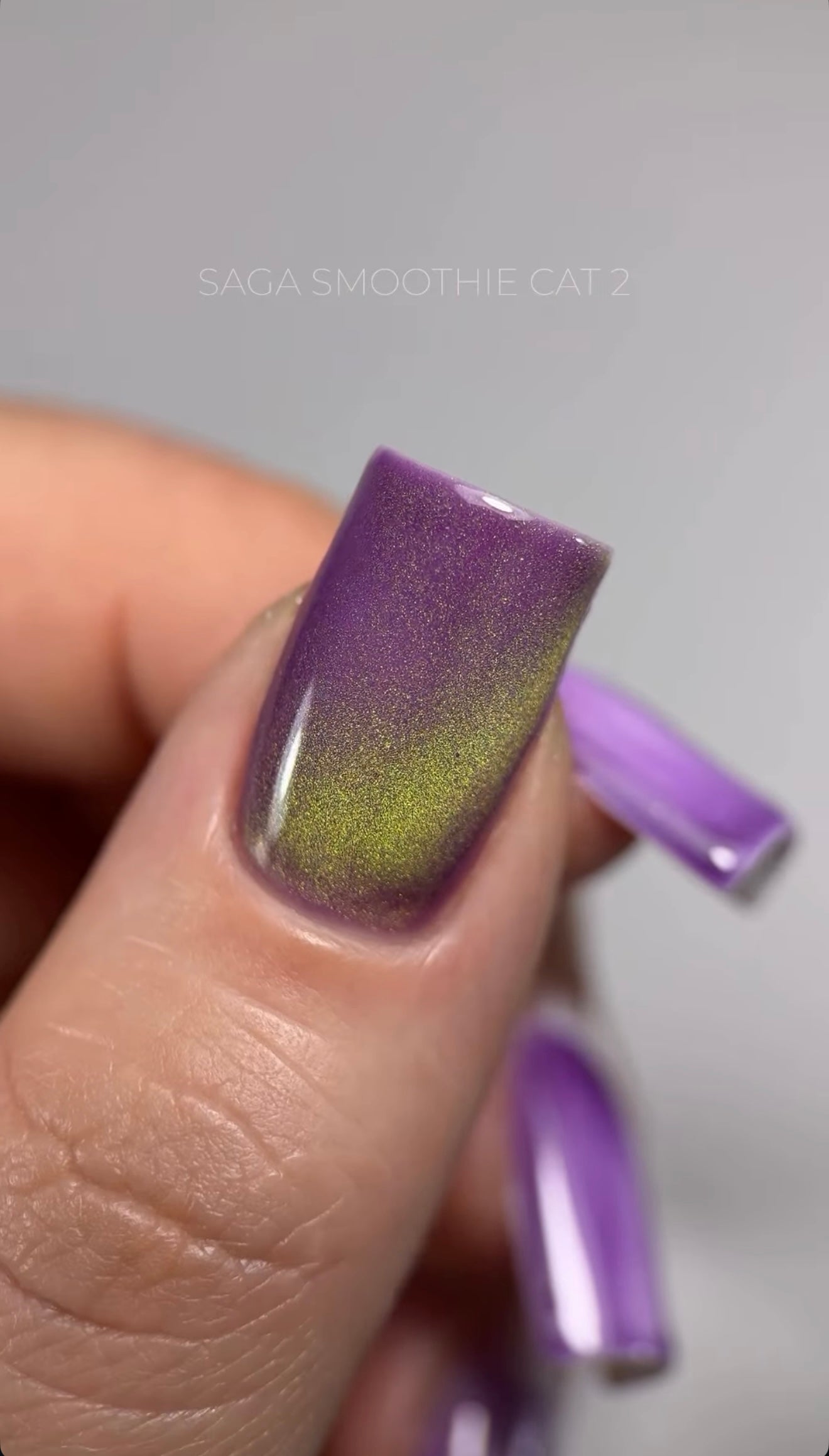 SAGA professional Smoothie cat, 10 мл, 02