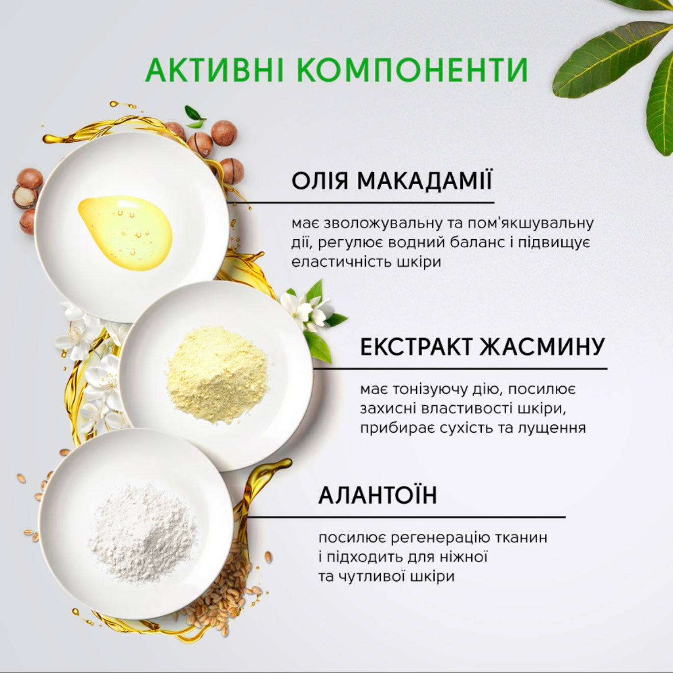 MOISTURIZING HAND CREAM WITH MACADAMIA OIL AND JASMINE SPRING TOUCH SHELLY 30 ML